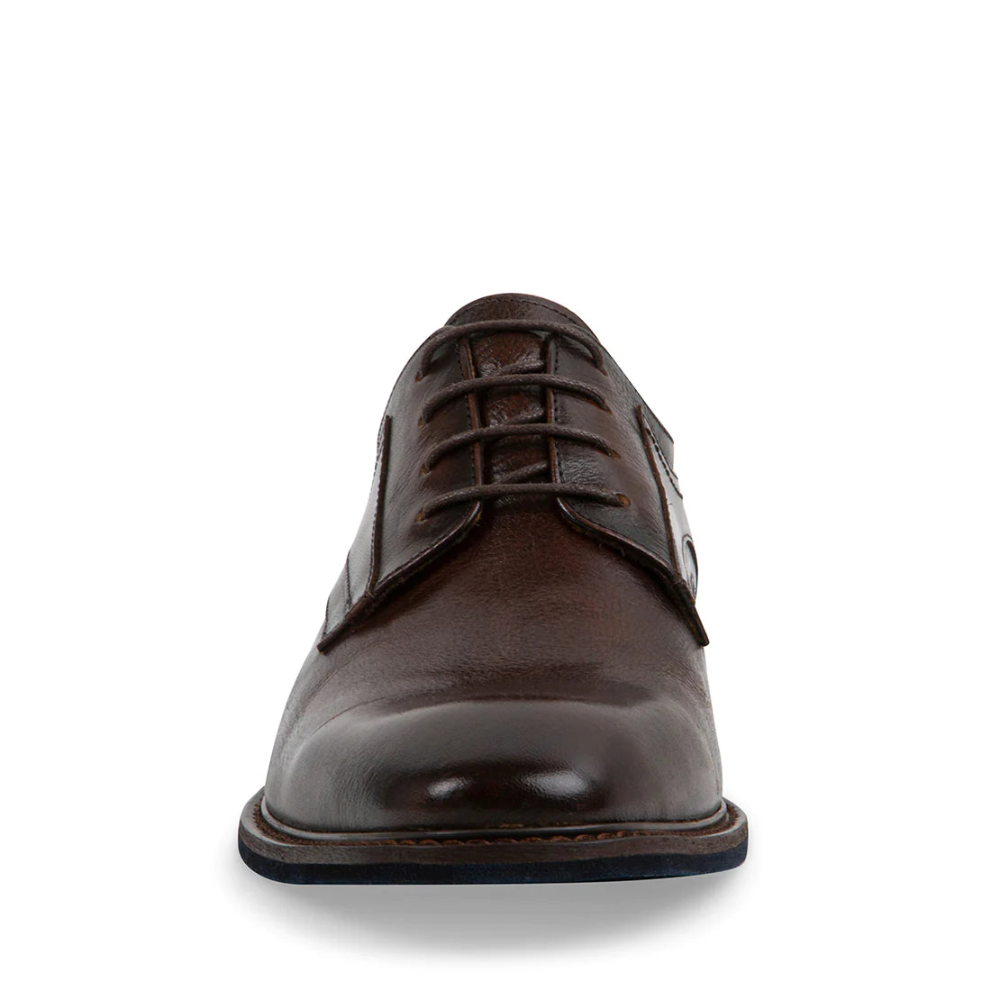 Steve Madden - Nando Dark Brown