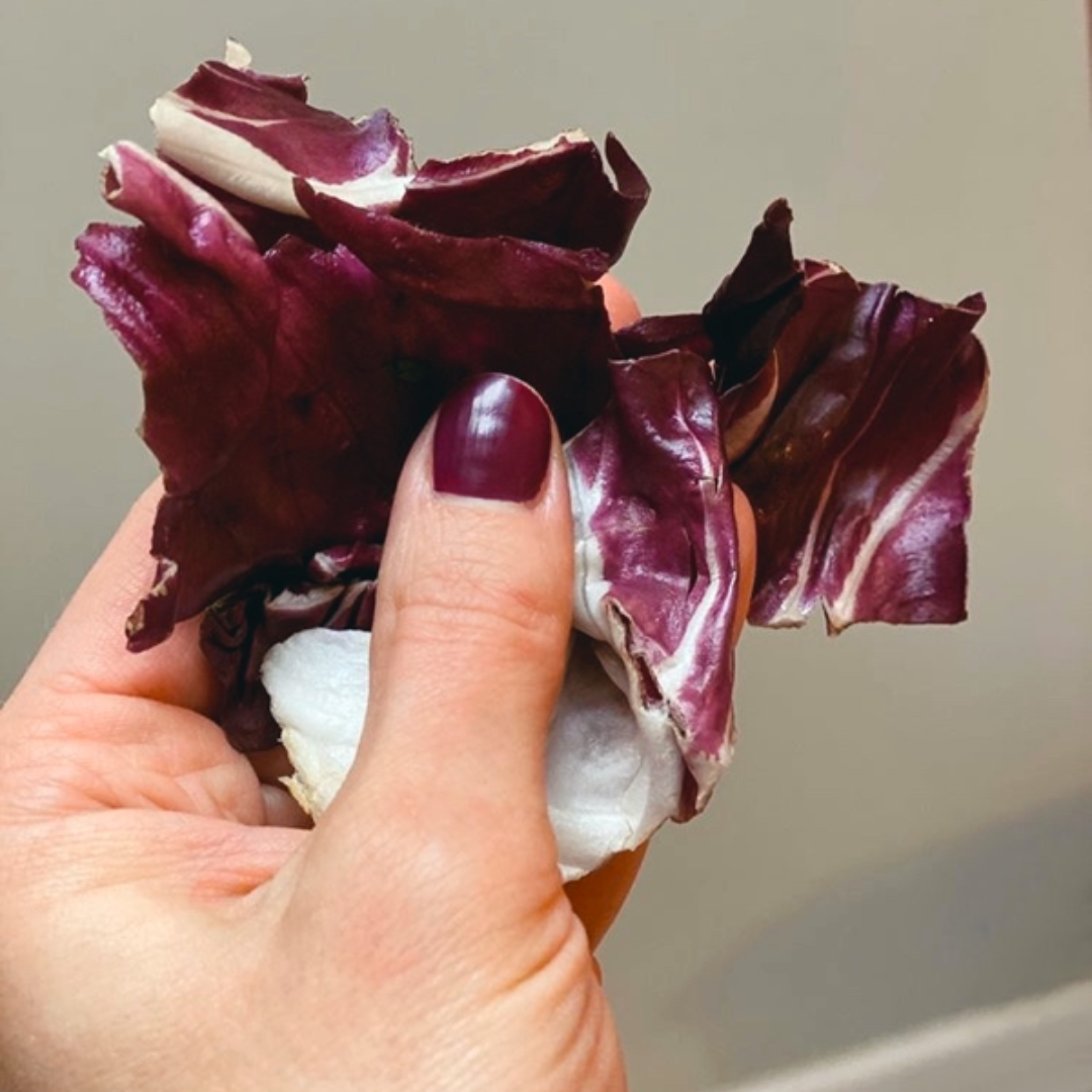 Radicchio Nail Polish from Palate Polish