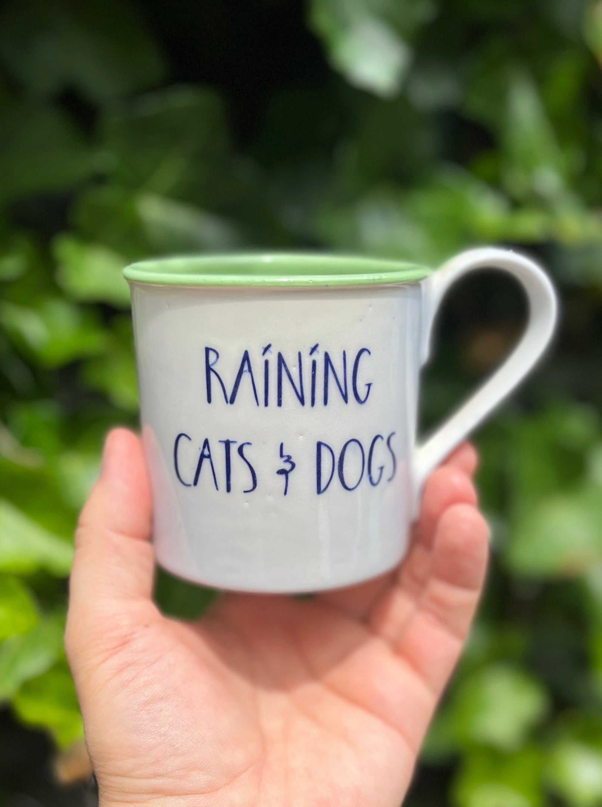 Raining Cats & Dogs Mug from Auburn Clay Barn