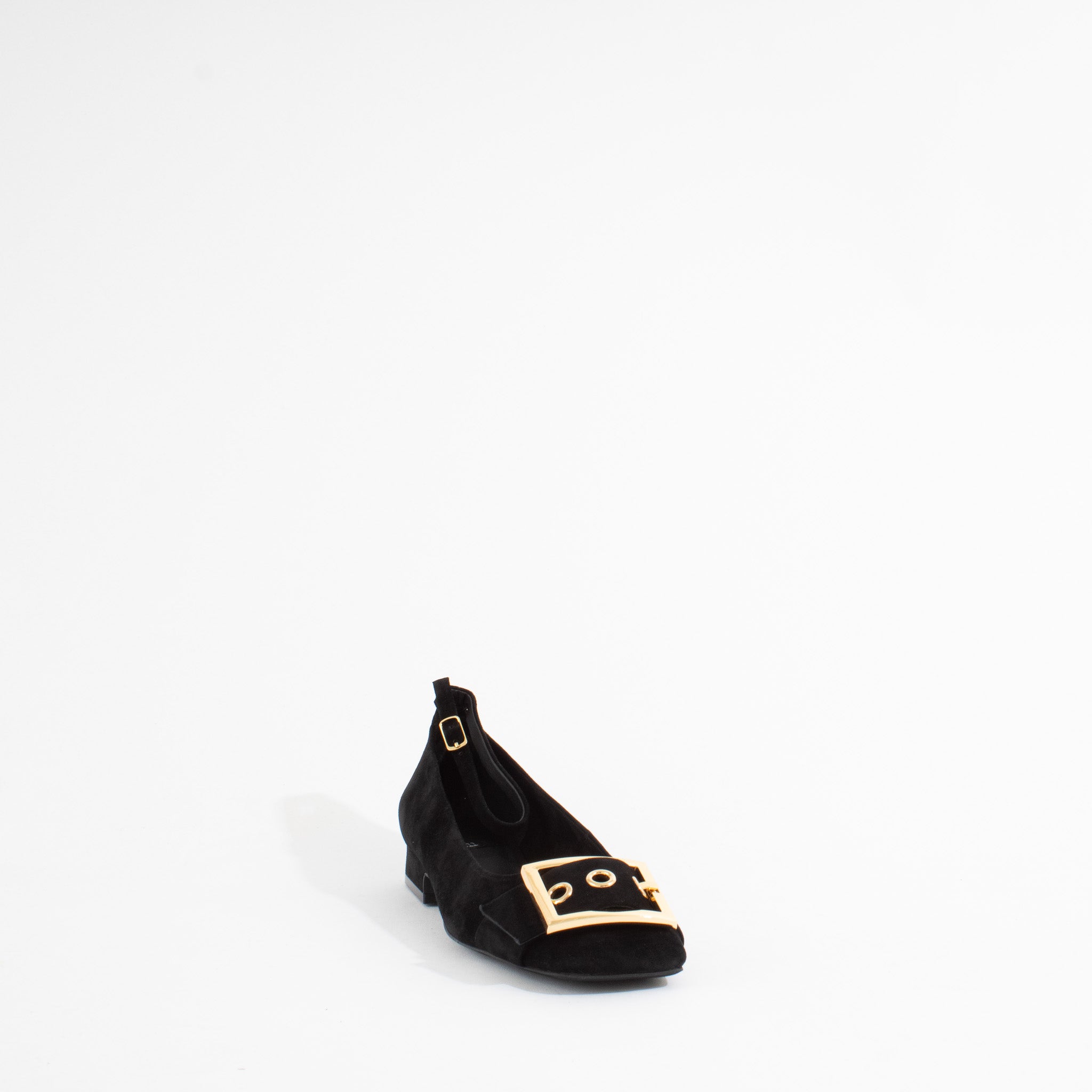 LUCKIEST | BLACK SUEDE/GOLD