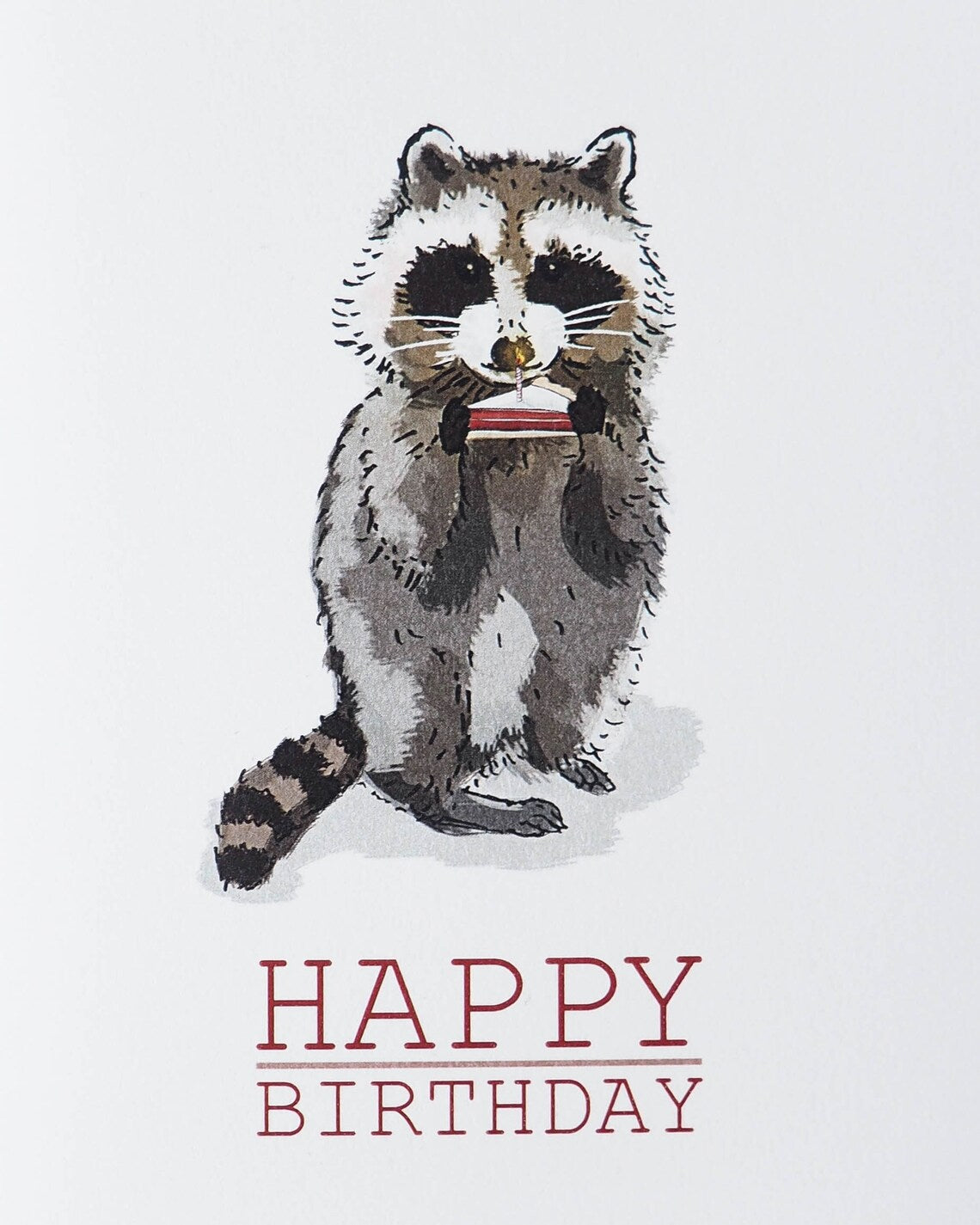 Happy Birthday Raccoon Card by Lauren and Lorenz