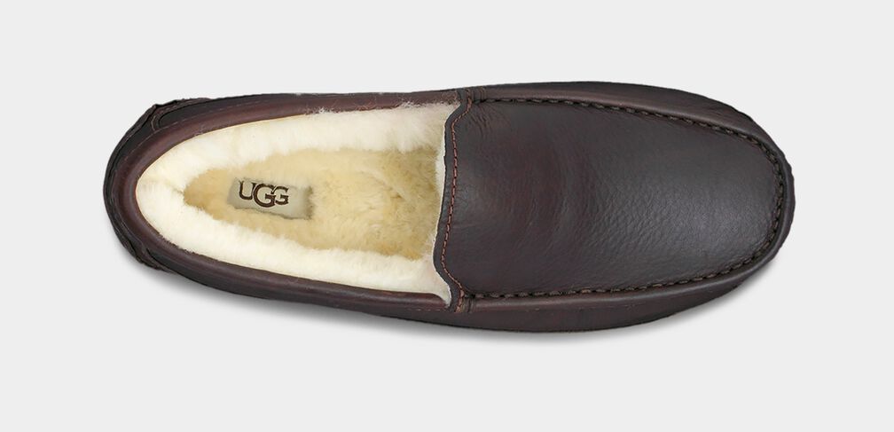 UGG MEN'S ASCOT - CHINA TEA LEATHER