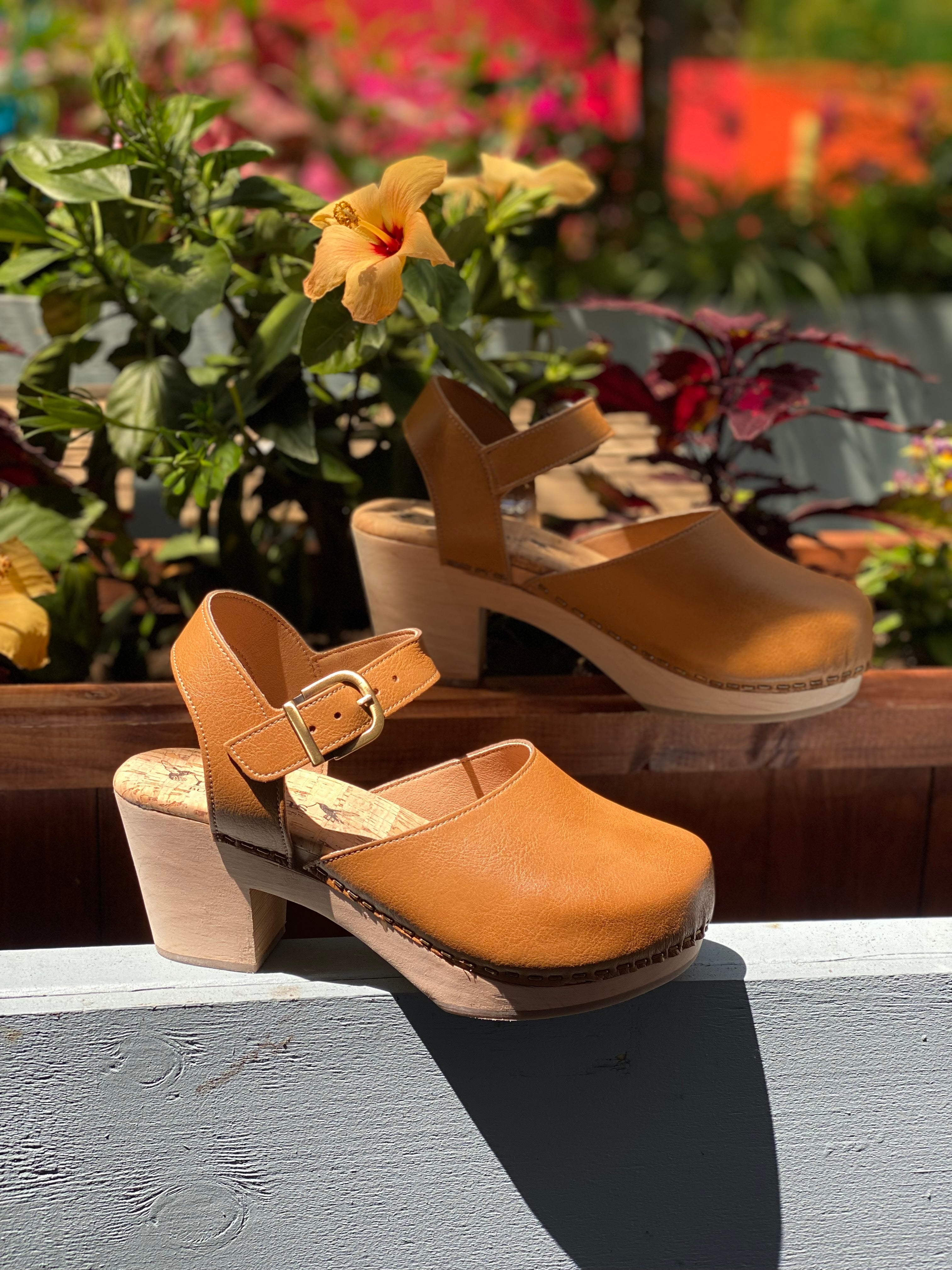 Pepper Clog in Camel from Novacas