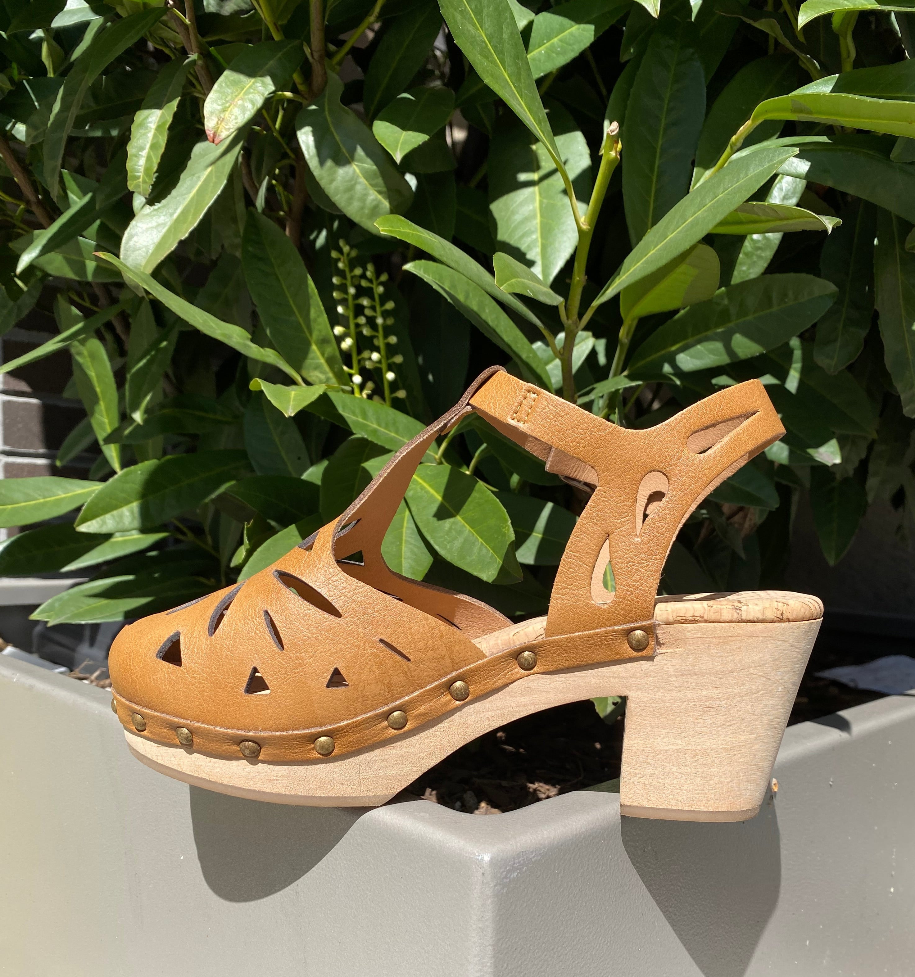 Esther Clog in Camel from Novacas