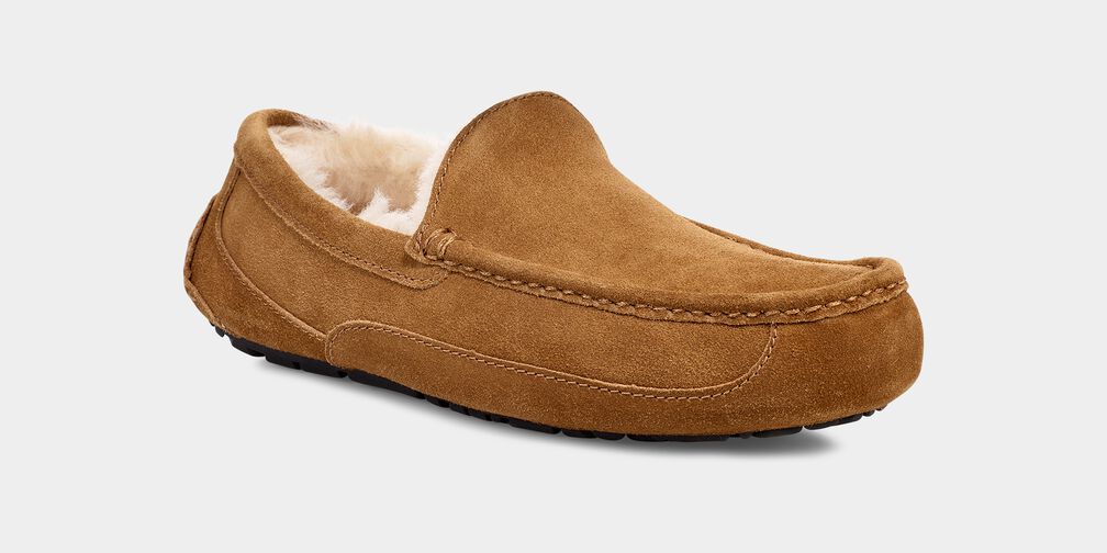 UGG MEN'S ASCOT - CHESTNUT